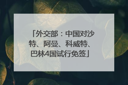 外交部：中国对沙特、阿曼、科威特、巴林4国试行免签
