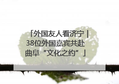外国友人看济宁｜38位外国嘉宾共赴曲阜“文化之约”