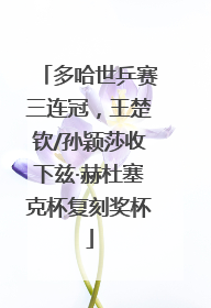 多哈世乒赛三连冠，王楚钦/孙颖莎收下兹·赫杜塞克杯复刻奖杯