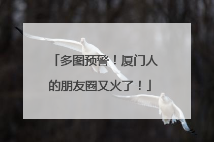 多图预警！厦门人的朋友圈又火了！