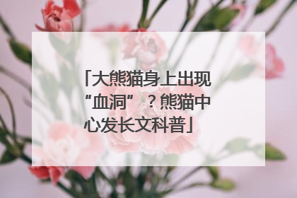 大熊猫身上出现“血洞”？熊猫中心发长文科普