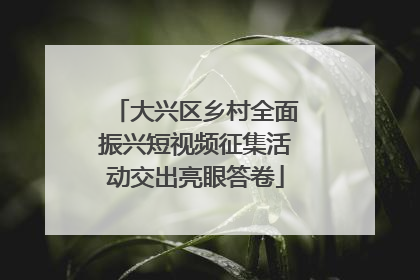 大兴区乡村全面振兴短视频征集活动交出亮眼答卷
