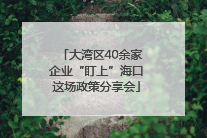 大湾区40余家企业“盯上”海口这场政策分享会