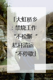 大虹桥乡：禁烧工作“不松懈“ 秸秆清运“不停歇