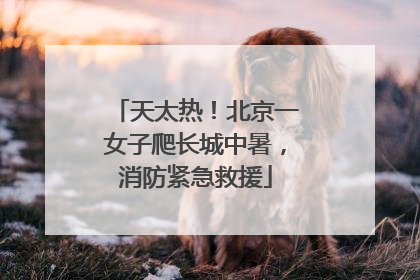 天太热！北京一女子爬长城中暑，消防紧急救援