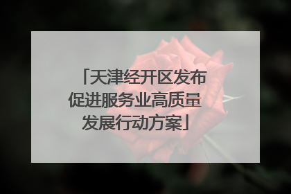 天津经开区发布促进服务业高质量发展行动方案