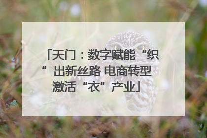天门：数字赋能“织”出新丝路 电商转型激活“衣”产业