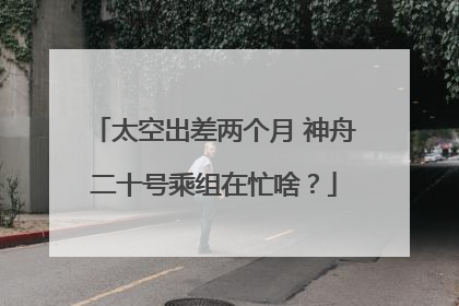 太空出差两个月 神舟二十号乘组在忙啥？