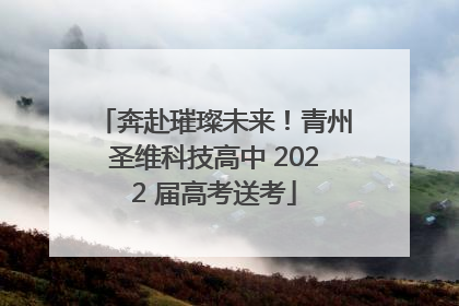奔赴璀璨未来！青州圣维科技高中 2022 届高考送考