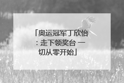 奥运冠军丁欣怡：走下领奖台 一切从零开始