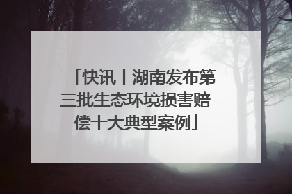 快讯丨湖南发布第三批生态环境损害赔偿十大典型案例