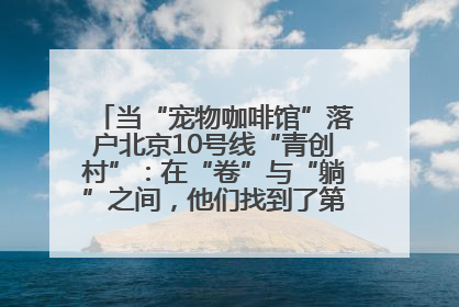 当“宠物咖啡馆”落户北京10号线“青创村”：在“卷”与“躺”之间，他们找到了第三种生活公式