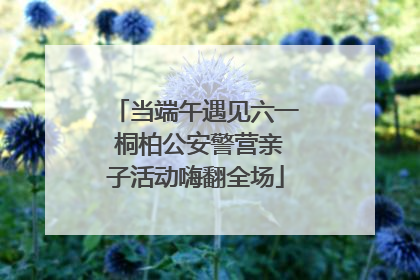 当端午遇见六一 桐柏公安警营亲子活动嗨翻全场