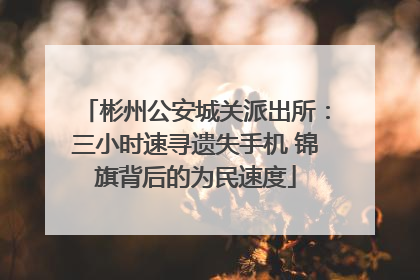 彬州公安城关派出所：三小时速寻遗失手机 锦旗背后的为民速度