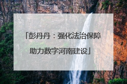 彭丹丹：强化法治保障 助力数字河南建设
