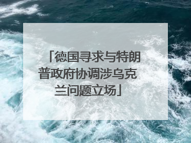 德国寻求与特朗普政府协调涉乌克兰问题立场
