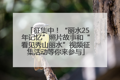征集中！“丽水25年记忆”照片故事和“看见秀山丽水”视频征集活动等你来参与