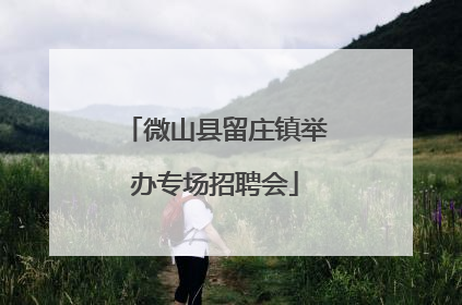 微山县留庄镇举办专场招聘会