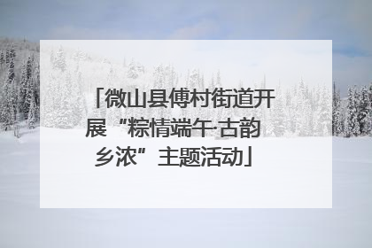 微山县傅村街道开展“粽情端午·古韵乡浓”主题活动
