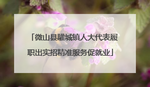 微山县驩城镇人大代表履职出实招精准服务促就业