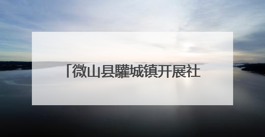 微山县驩城镇开展社保换卡进社区活动