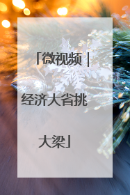 微视频｜经济大省挑大梁