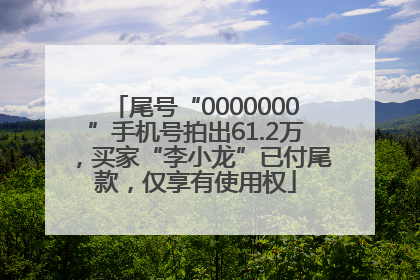 尾号“0000000”手机号拍出61.2万，买家“李小龙”已付尾款，仅享有使用权