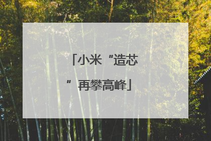 小米“造芯”再攀高峰