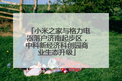 小米之家与格力电器落户济南起步区，中科新经济科创园商业生态升级