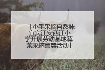 小手采摘自然味 宜宾江安西江小学开展劳动基地蔬菜采摘售卖活动