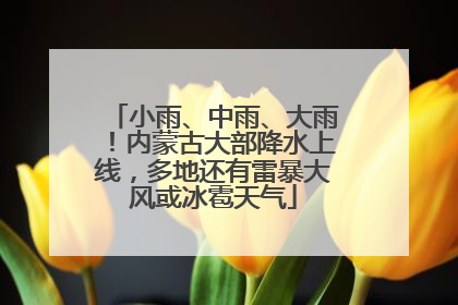 小雨、中雨、大雨！内蒙古大部降水上线，多地还有雷暴大风或冰雹天气