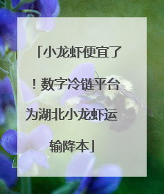 小龙虾便宜了！数字冷链平台为湖北小龙虾运输降本