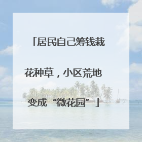 居民自己筹钱栽花种草，小区荒地变成“微花园”