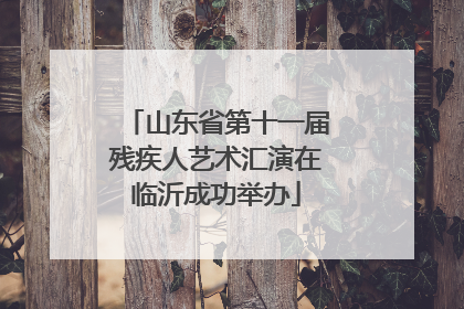 山东省第十一届残疾人艺术汇演在临沂成功举办