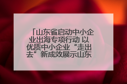 山东省启动中小企业出海专项行动 以优质中小企业“走出去”新成效展示山东产业发展新形象