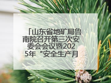 山东省地矿局鲁南院召开第三次安委会会议暨2025年“安全生产月”活动启动仪式
