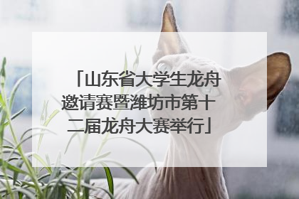 山东省大学生龙舟邀请赛暨潍坊市第十二届龙舟大赛举行