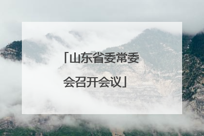 山东省委常委会召开会议