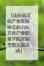 山东省文化产业发展协会赴山东文化产业职业学院开展考察交流活动