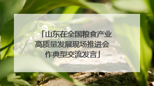 山东在全国粮食产业高质量发展现场推进会作典型交流发言