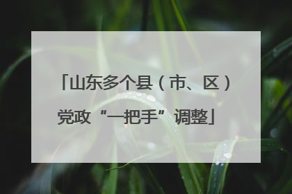 山东多个县（市、区）党政“一把手”调整