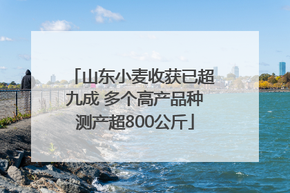 山东小麦收获已超九成 多个高产品种测产超800公斤