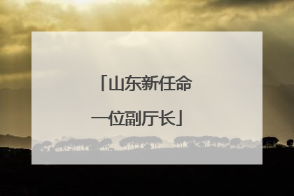 山东新任命一位副厅长