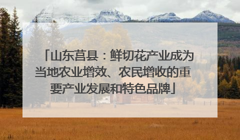 山东莒县：鲜切花产业成为当地农业增效、农民增收的重要产业发展和特色品牌