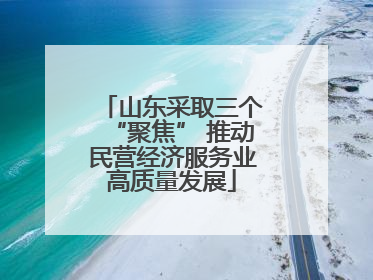 山东采取三个“聚焦” 推动民营经济服务业高质量发展