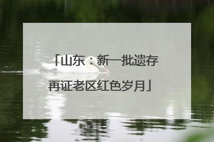 山东：新一批遗存再证老区红色岁月