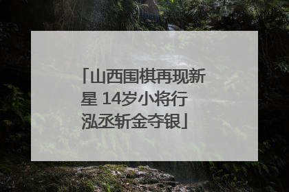 山西围棋再现新星 14岁小将行泓丞斩金夺银