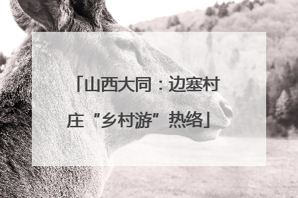 山西大同：边塞村庄“乡村游”热络