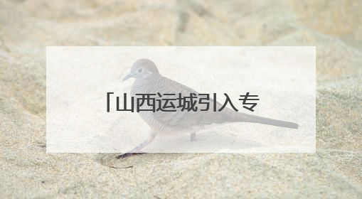 山西运城引入专业力量参与校园安全治理 消防更专业 安全有保障