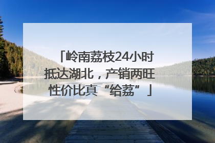 岭南荔枝24小时抵达湖北，产销两旺性价比真“给荔”